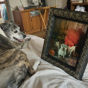 Angela heeft een foto van de aankoop toegevoegd