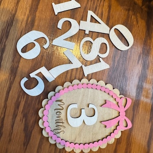 Baby Milestone Disc SVG: Laser Cut Wooden Girl Monthly Photo Props ...