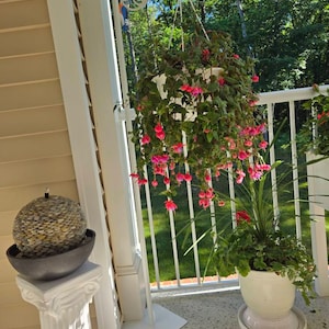 Debra added a photo of their purchase
