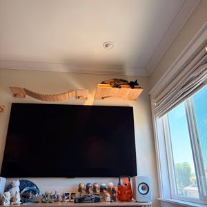 Malia added a photo of their purchase