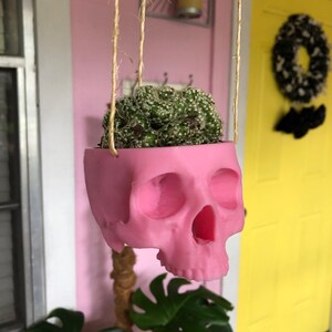 Ashley added a photo of their purchase
