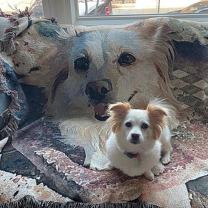 Sarah added a photo of their purchase