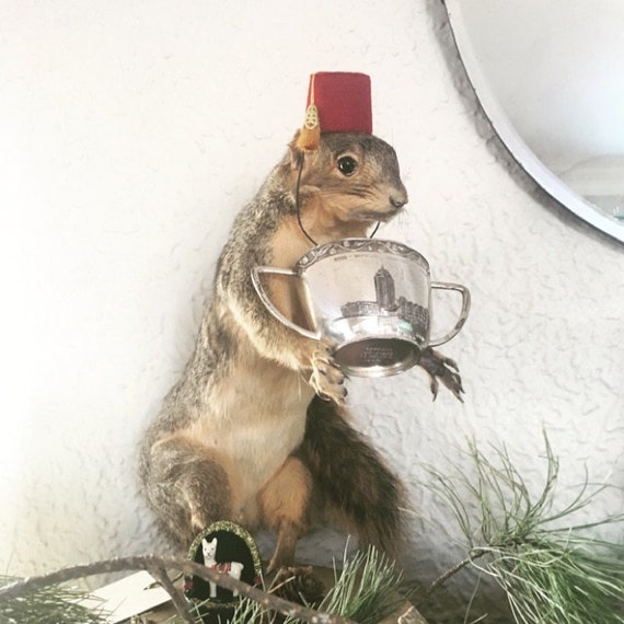 Customer photo of a pet with the Fez Hat mini small pet Cat Dog Hedgehog Vogue