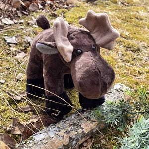 Jennifer added a photo of their purchase