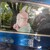 Pugly Rescue Dog WiperTag With Decal - Fun Car Window Accessory For Pet Lovers
