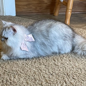 Erin added a photo of their purchase