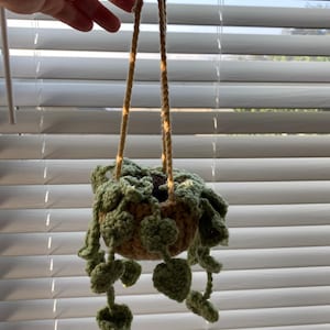 Zoe added a photo of their purchase