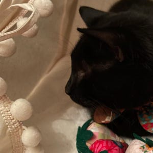 Samantha added a photo of their purchase