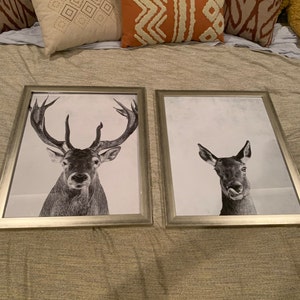 Katie added a photo of their purchase