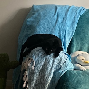 Cleo added a photo of their purchase