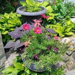 PurpleHaze added a photo of their purchase