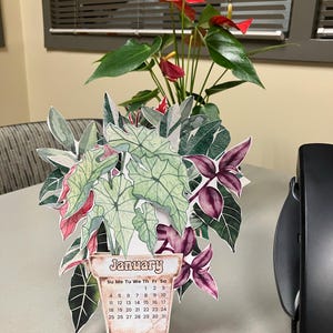 Cathy added a photo of their purchase