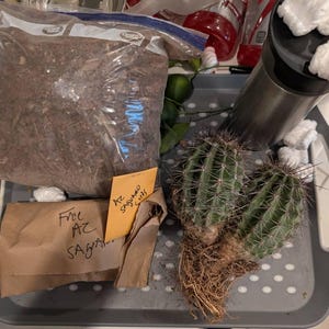 Jules ha añadido una foto de su compra