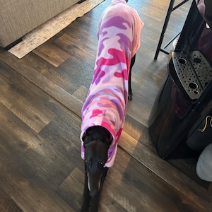 Jordan a ajouté une photo de son achat