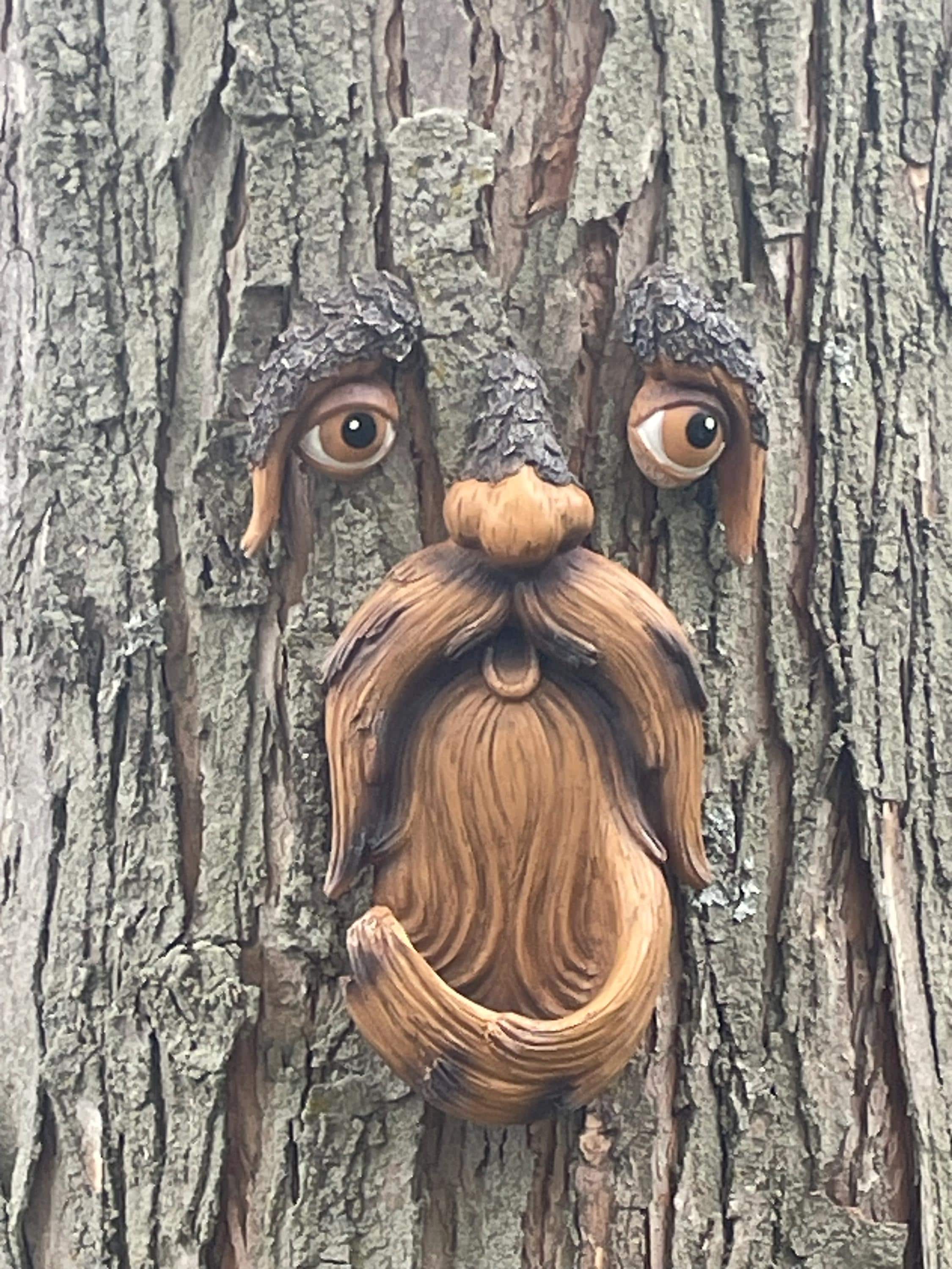 Tree Faces Garden Decor –Tree Hugger Bird Feeder– Yard Art– gift for dad- tree decorations outdoor- Garden Sculpture- Magical face for tree