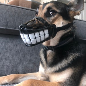 funny dog muzzles for sale