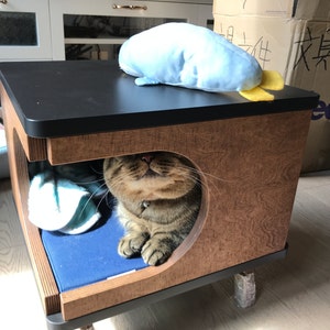 Shelby added a photo of their purchase