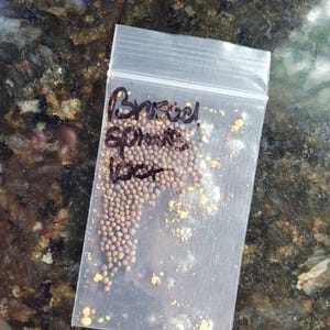 Max added a photo of their purchase