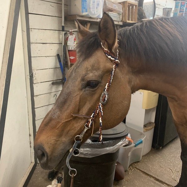 Braided One Ear Headstalls