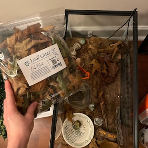 Dana added a photo of their purchase