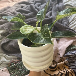 Kim added a photo of their purchase