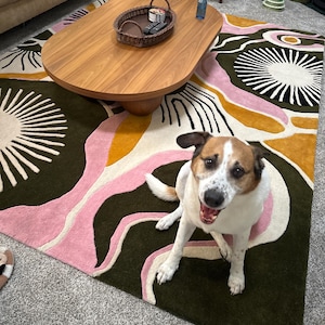 Loan added a photo of their purchase