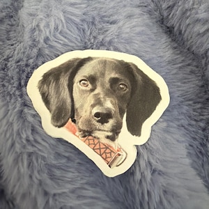 Daisy added a photo of their purchase