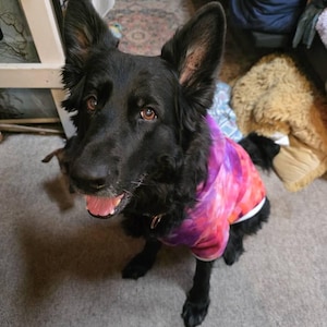 haleigh added a photo of their purchase