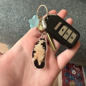 Rowan added a photo of their purchase