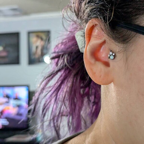 316L Body Piercing 20G Push-In Labret Ring Kraakbeen, Tragus, Helix, Monroe, Neu - Foto 7