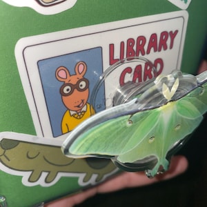 M added a photo of their purchase