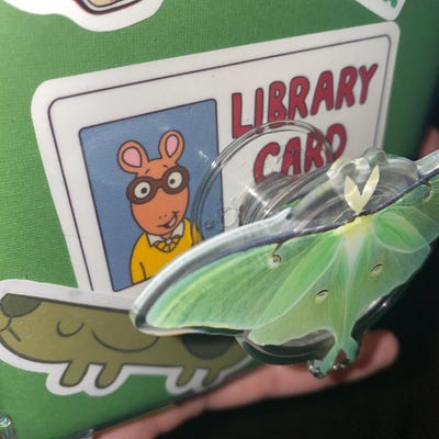 Seatbelts, Everyone / Magic School Bus Inspired Die Cut Sticker - Etsy