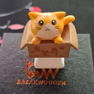 Lisa added a photo of their purchase