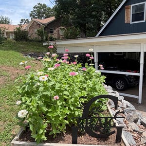 Grayson added a photo of their purchase