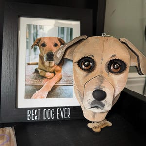 Meg added a photo of their purchase