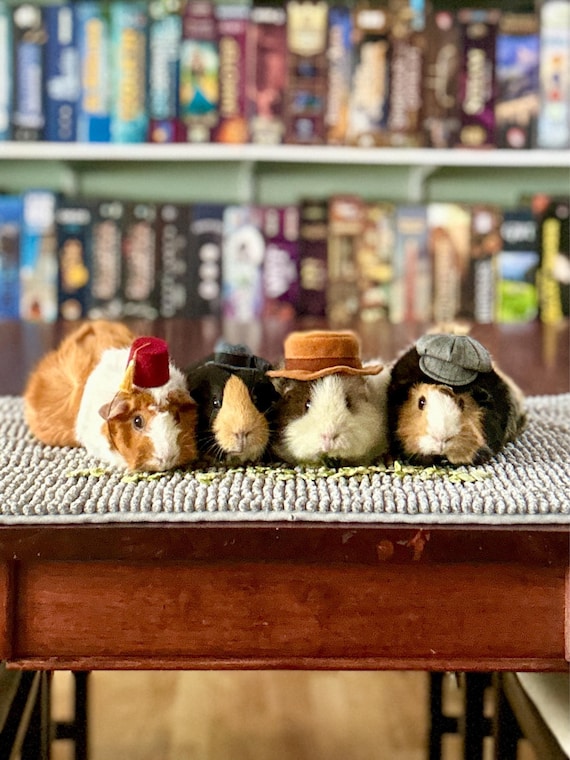 Customer photo of a pet with the Fedora  Hat  for small pet Hedgehog Vogue