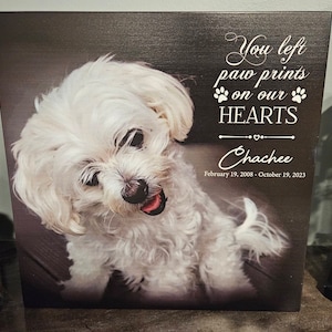 Amber added a photo of their purchase