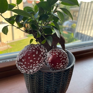 Gabriela added a photo of their purchase