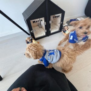 Julien hat ein Foto des gekauften Artikels hinzugefügt