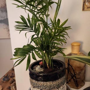 Joyce added a photo of their purchase