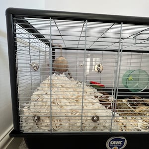 Lisa added a photo of their purchase