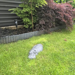 Lorraine added a photo of their purchase