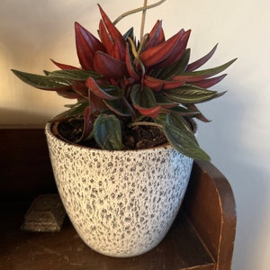 Georgina added a photo of their purchase