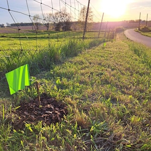 Lawson ha añadido una foto de su compra