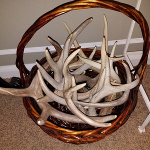 Sokunthea ha añadido una foto de su compra