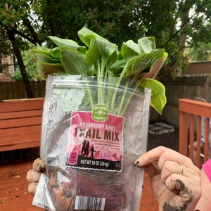 Handmade Adjustable Floor Rag Rug Twining Loom Includes Video - Etsy