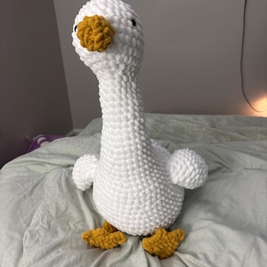 Elizabeth added a photo of their purchase