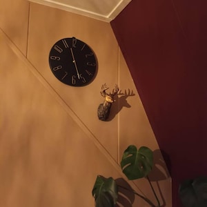 D a ajouté une photo de son achat