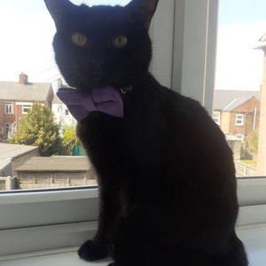 Oliver added a photo of their purchase
