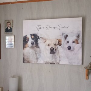 Koralie added a photo of their purchase